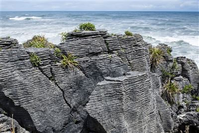 Pflanzen bedecken die Pancake Felsen